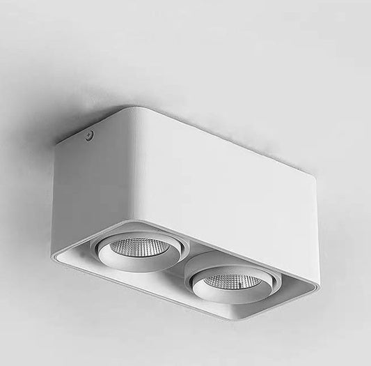 Gala Surface Mounted Light in White
